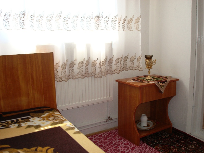 Interior camera camin.